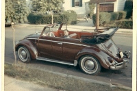 beetle_1956